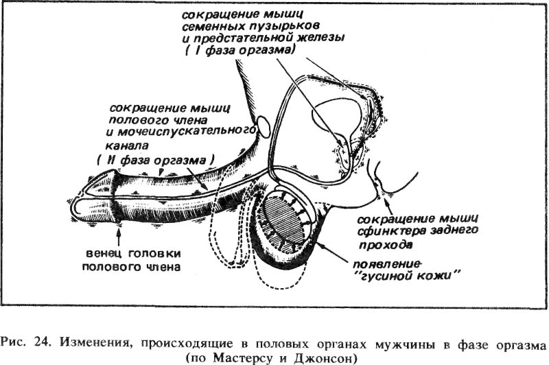 Искусство любви _25.png