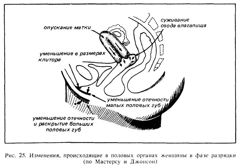Искусство любви _26.png