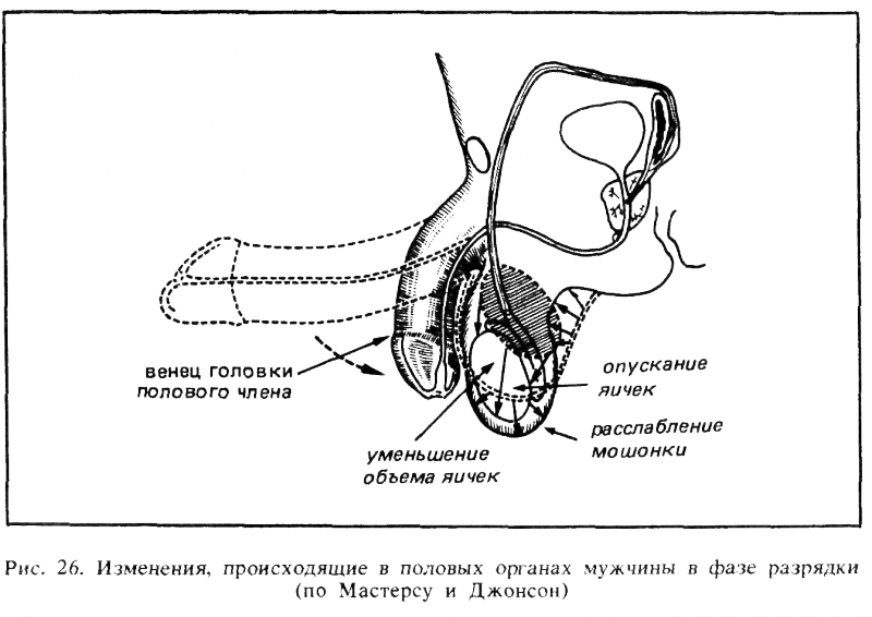 Искусство любви _27.png