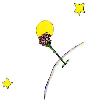 Маленький Принц flower.jpg