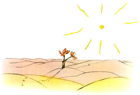 Маленький Принц desert_rose.jpg