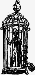 Перевернутое дерево image44.png