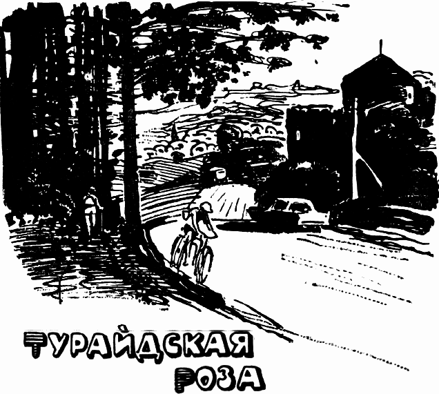 Город Золотого Петушка i_007.png