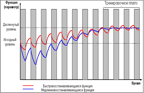 Думай! Или 'Супертренинг' без заблуждений any2fbimgloader20.png