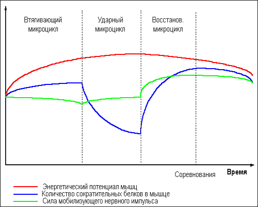 Думай! Или 'Супертренинг' без заблуждений any2fbimgloader22.png