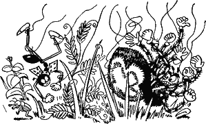 Муравьи не сдаются (илл.) g04.png