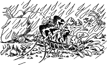 Муравьи не сдаются (илл.) g08.png