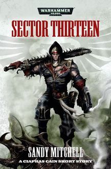 Сектор 13 cover.jpg