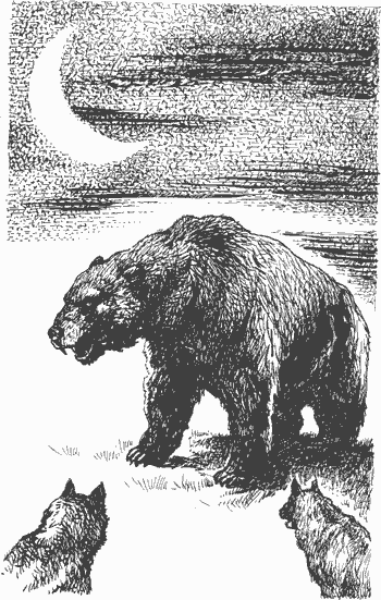 Гремящий мост i_030.png
