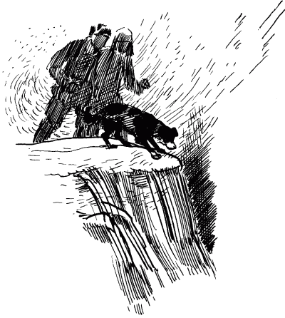Эльбрус находит след. Рассказы о собаках i_028.png