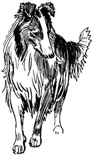 Эльбрус находит след. Рассказы о собаках i_032.png