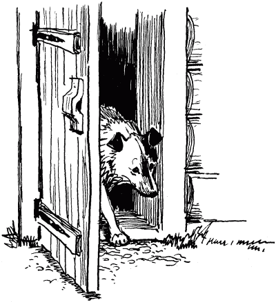 Эльбрус находит след. Рассказы о собаках i_007.png