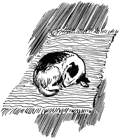 Эльбрус находит след. Рассказы о собаках i_009.png