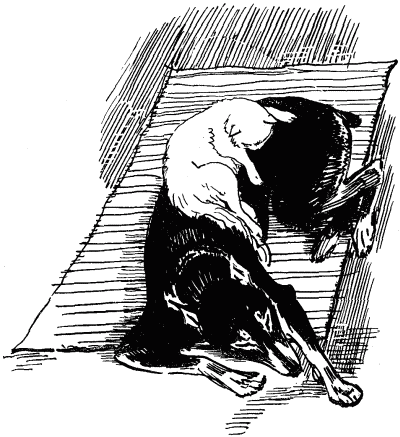 Эльбрус находит след. Рассказы о собаках i_013.png