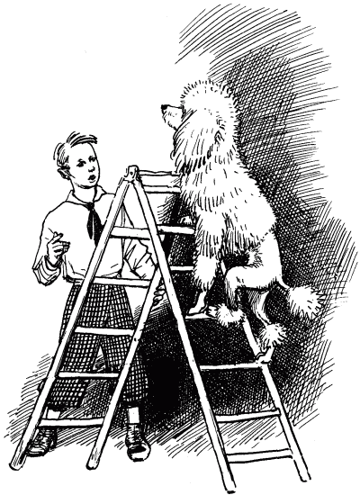 Эльбрус находит след. Рассказы о собаках i_015.png