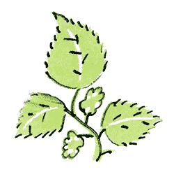 Приключения кузнечика Мена (с илл.) i_059.png