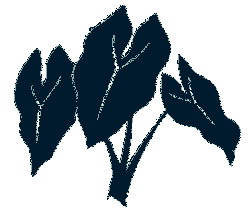 Приключения кузнечика Мена (с илл.) i_010.png