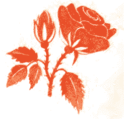 Приключения кузнечика Мена (с илл.) i_020.png