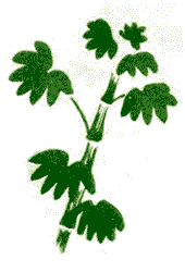 Приключения кузнечика Мена (с илл.) i_026.png