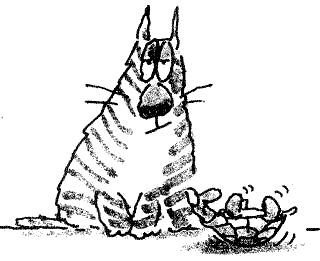 Кот без дураков (пер. В.Ланчиков) i_043.jpg