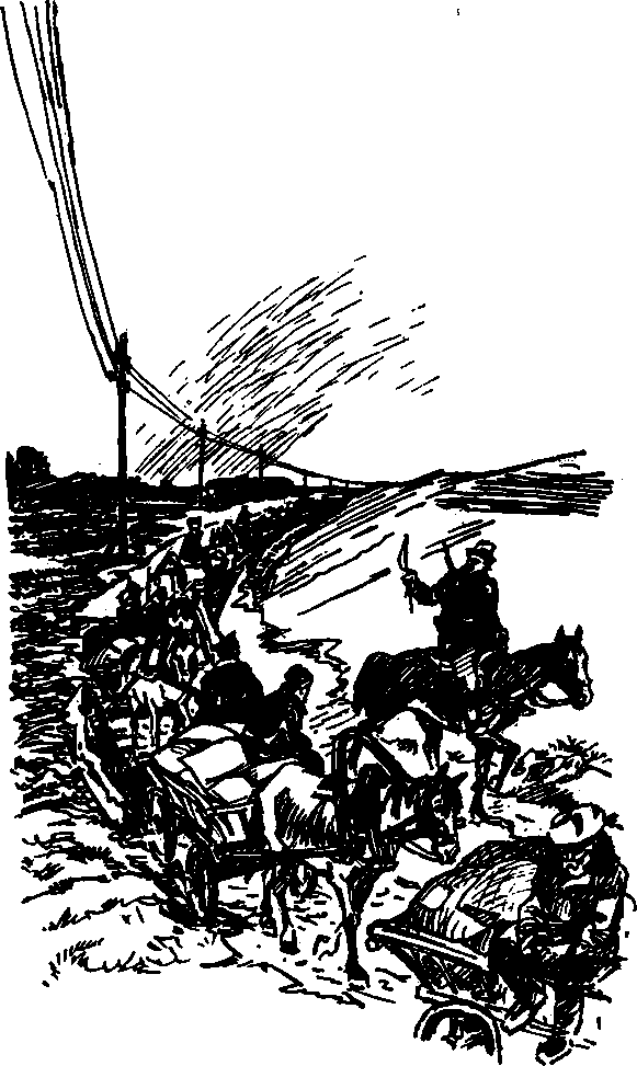 Чей мальчишка? (с илл.) i_004.png
