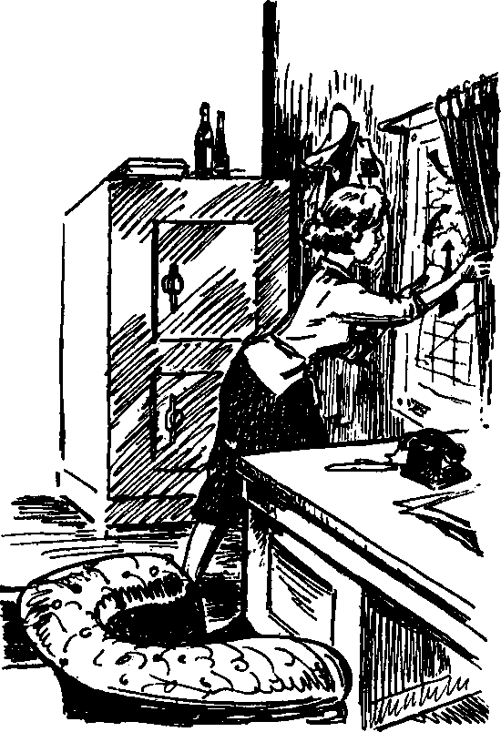 Чей мальчишка? (с илл.) i_010.png
