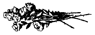 Матиас Шандор (сборник) pic_32.png