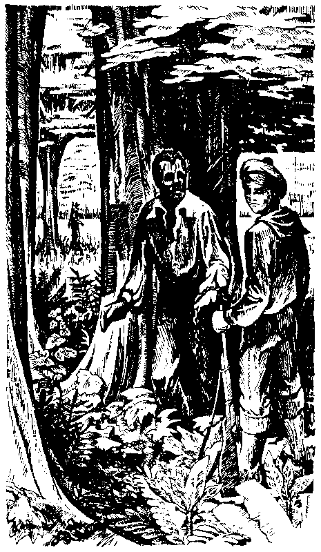 Матиас Шандор (сборник) pic_41.png