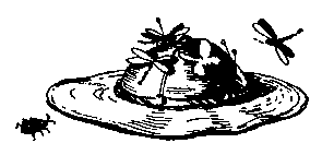 Матиас Шандор (сборник) pic_42.png