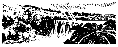 Матиас Шандор (сборник) pic_43.png