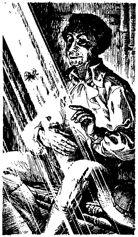 Матиас Шандор (сборник) pic_47.png