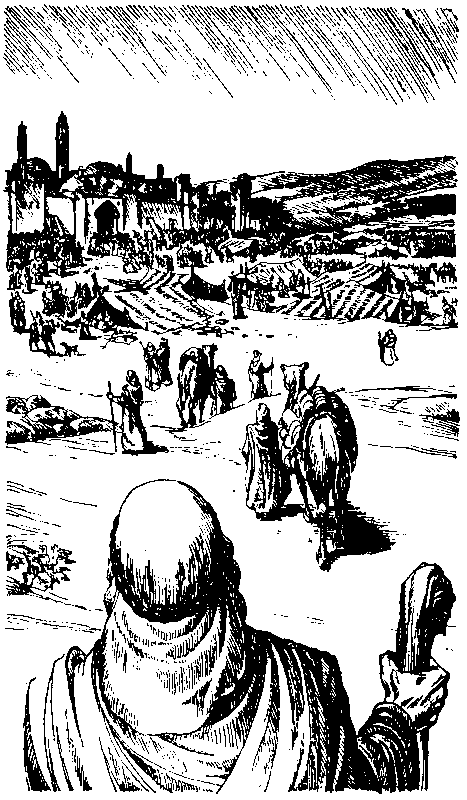 Матиас Шандор (сборник) pic_29.png