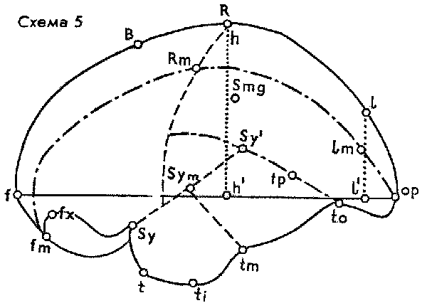 О начале человеческой истории img_4.png