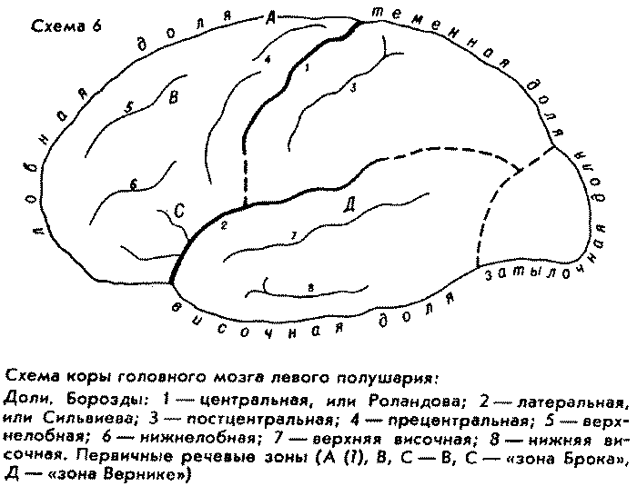 О начале человеческой истории img_5.png