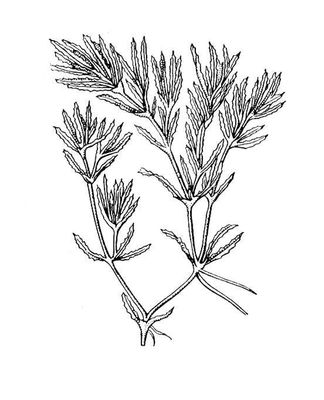 Большая Советская Энциклопедия (НА) i010-001-268002508.jpg