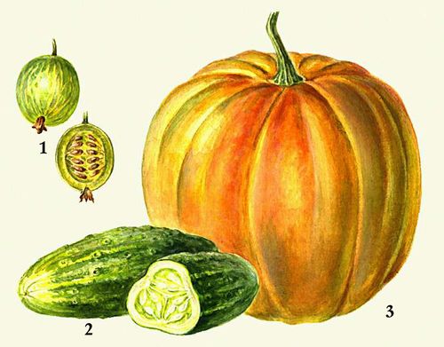 Большая Советская Энциклопедия (ПЛ) i009-001-203979679.jpg