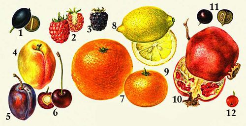 Большая Советская Энциклопедия (ПЛ) i010-001-252291614.jpg
