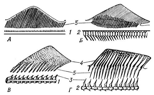Большая Советская Энциклопедия (ПЛ) i010-001-284951869.jpg