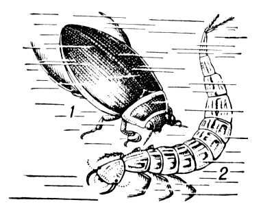 Большая Советская Энциклопедия (ПЛ) i010-001-281934304.jpg