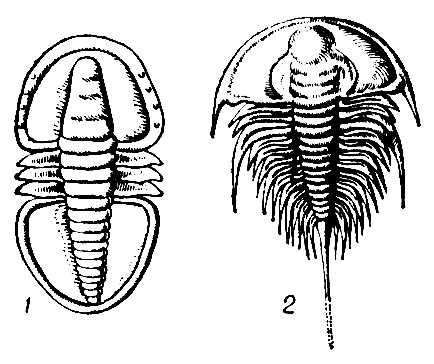 Большая Советская Энциклопедия (ТР) i010-001-253576224.jpg