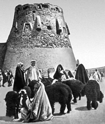 Большая Советская Энциклопедия (СА) i008-pictures-001-293778957.jpg