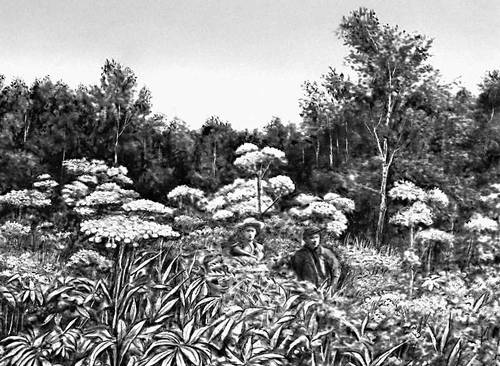 Большая Советская Энциклопедия (СА) i010-001-244706067.jpg