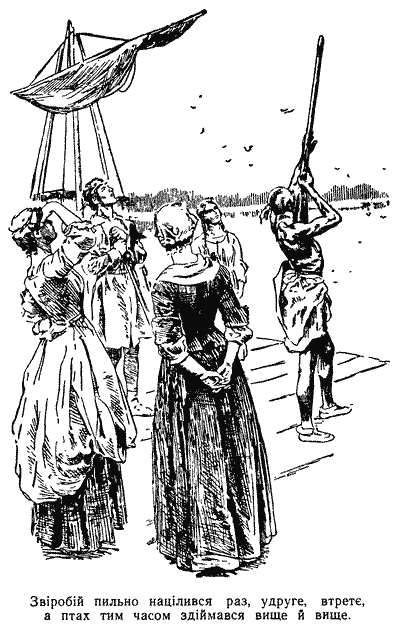 Звіробій doc2fb_image_03000014.png