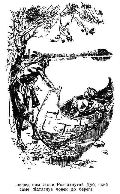 Звіробій doc2fb_image_03000016.png