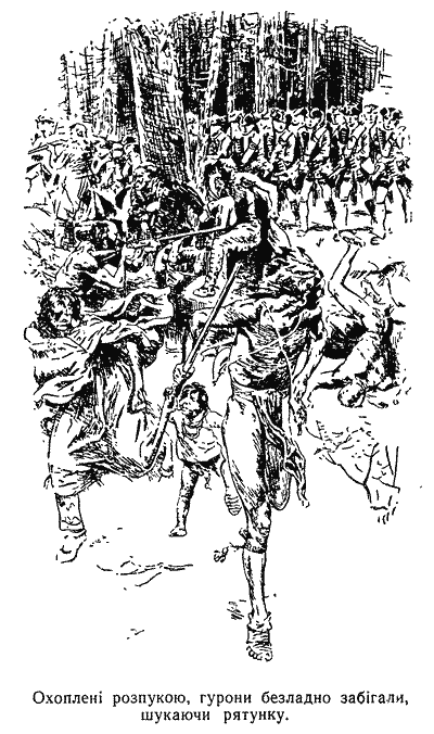 Звіробій doc2fb_image_03000019.png