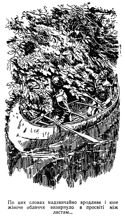 Звіробій doc2fb_image_03000003.png