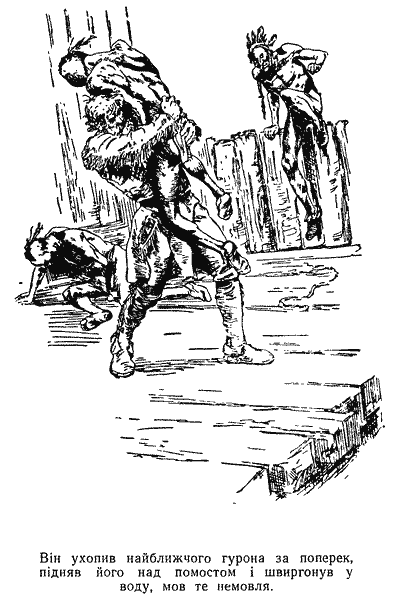 Звіробій doc2fb_image_03000010.png
