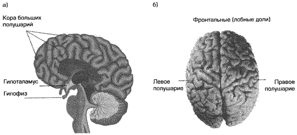 Сексуальность i_008.png