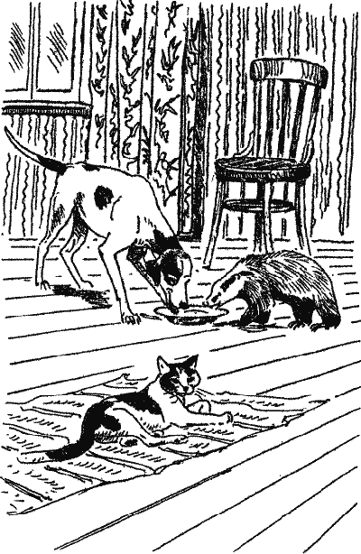 Лесной прадедушка (Рассказы о родной природе) i_008.png