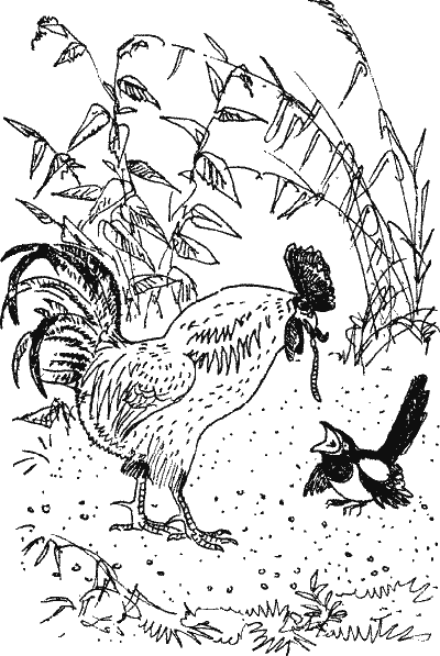 Лесной прадедушка (Рассказы о родной природе) i_005.png